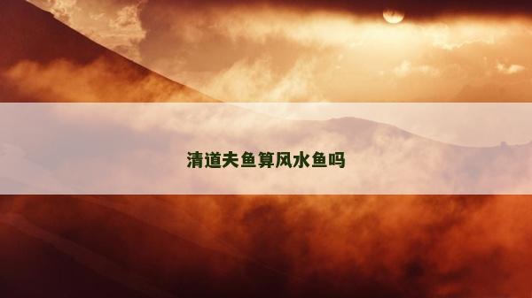 清道夫魚算風水魚嗎