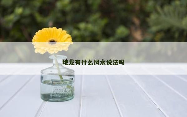 地龍有什么風水說法嗎 地龍有什么風水說法嗎
