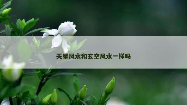 天星風水和玄空風水一樣嗎 天星風水和玄空風水一樣嗎