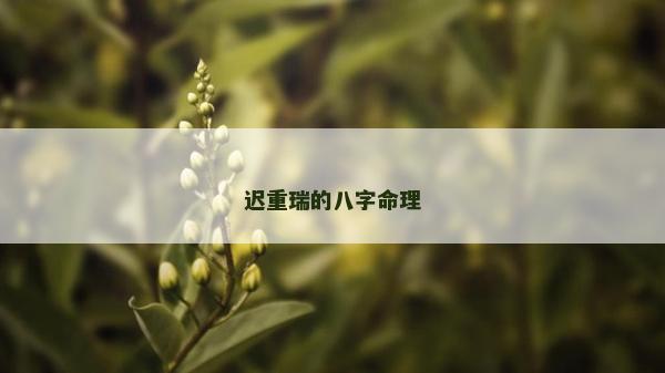 遲重瑞的八字命理