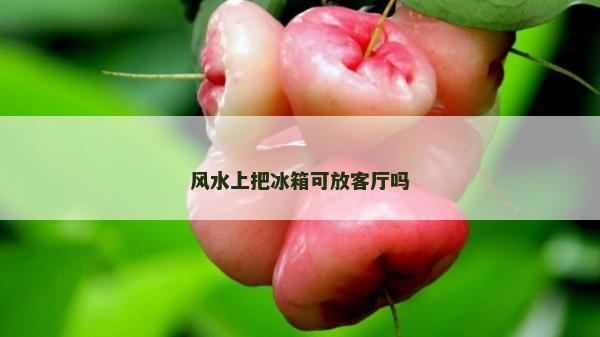 風(fēng)水上把冰箱可放客廳嗎