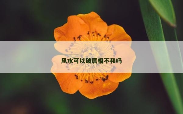 風水可以破屬相不和嗎