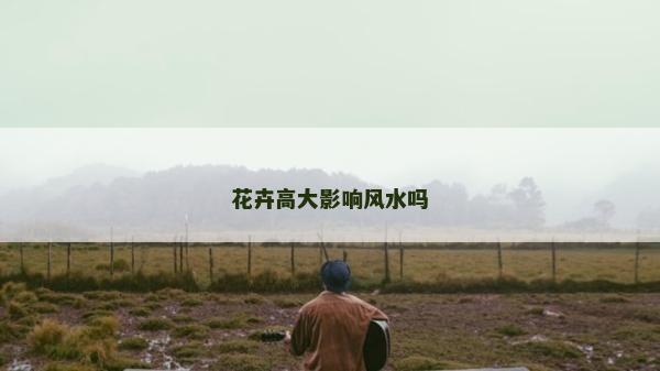 花卉高大影響風水嗎