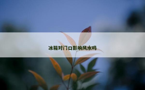 冰箱對門口影響風(fēng)水嗎