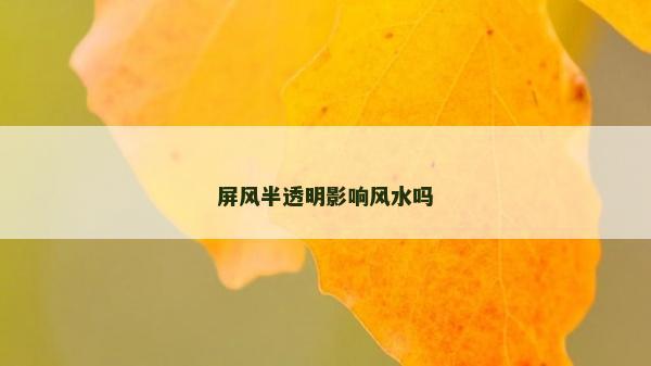 屏風半透明影響風水嗎
