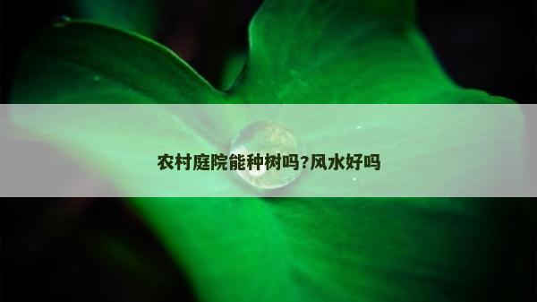 農村庭院能種樹嗎?風水好嗎