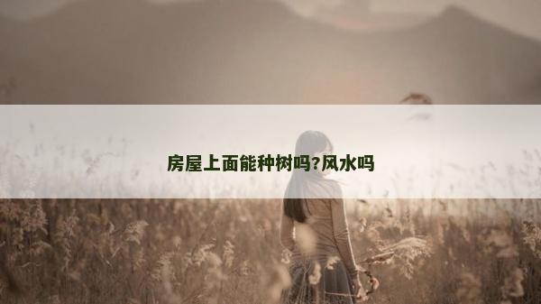房屋上面能種樹嗎?風水嗎