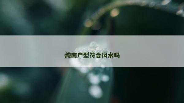 純南戶型符合風水嗎