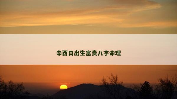 辛酉日出生富貴八字命理