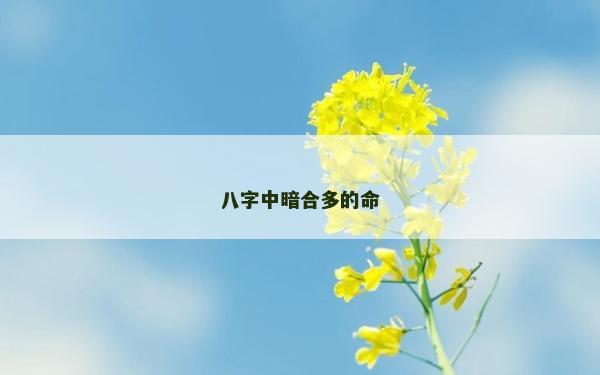八字中暗合多的命
