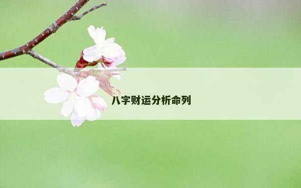 八字財運分析命列