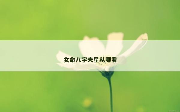 女命八字夫星從哪看