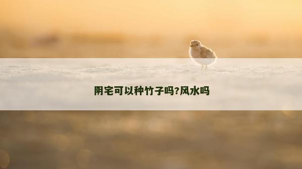 陰宅可以種竹子嗎?風水嗎