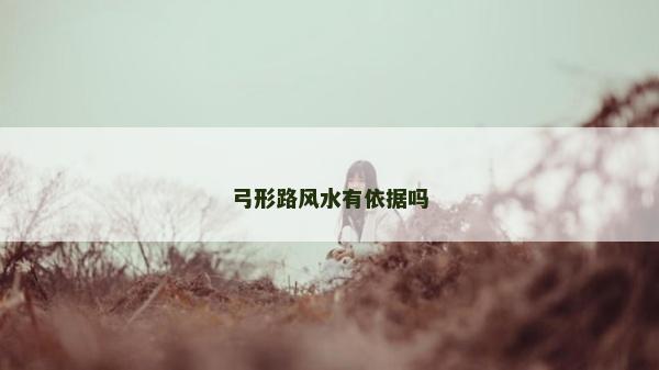 弓形路風水有依據嗎