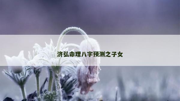 濟弘命理八字預測之子女