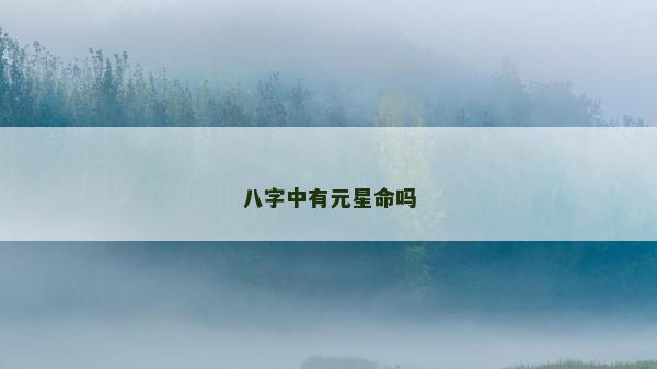八字中有元星命嗎