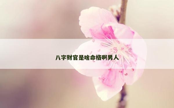 八字財官是啥命格啊男人