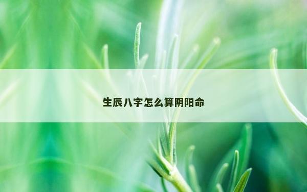 生辰八字怎么算陰陽命