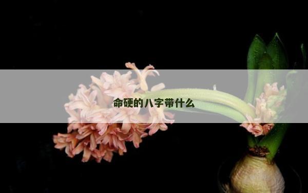命硬的八字帶什么