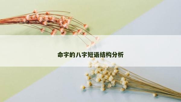 命字的八字短語(yǔ)結(jié)構(gòu)分析 命字的八字短語(yǔ)結(jié)構(gòu)分析