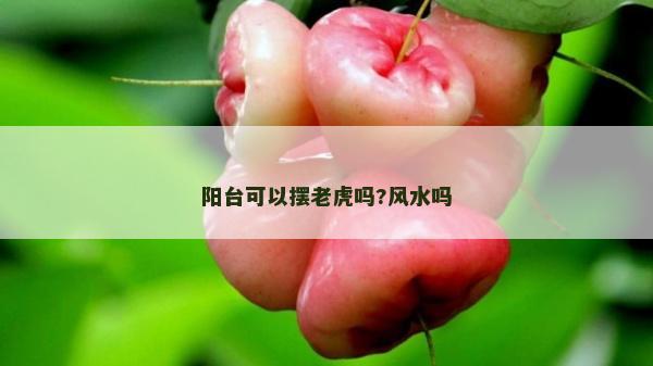 陽臺可以擺老虎嗎?風水嗎