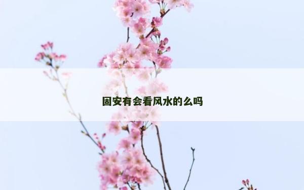固安有會看風水的么嗎