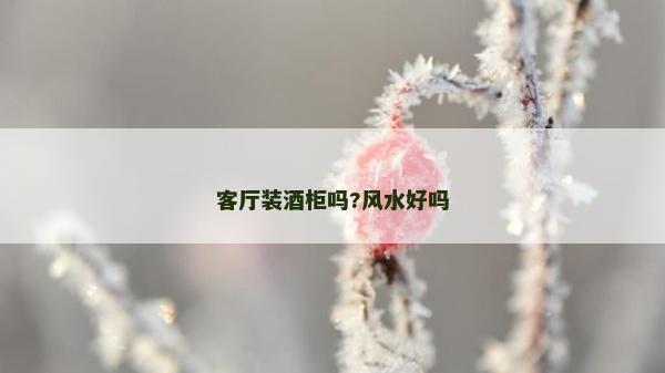 客廳裝酒柜嗎?風(fēng)水好嗎