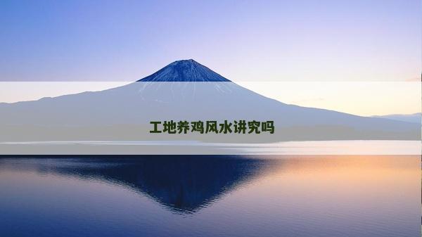 工地養雞風水講究嗎