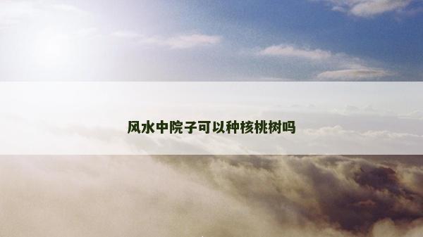 風水中院子可以種核桃樹嗎