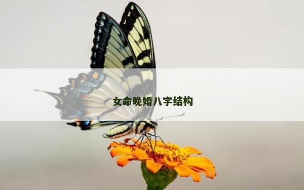 女命晚婚八字結構