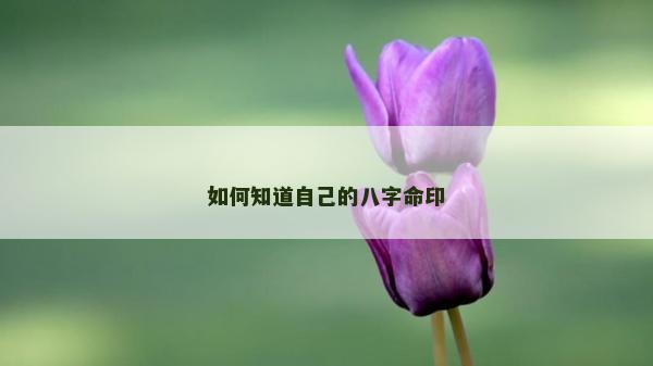 如何知道自己的八字命印