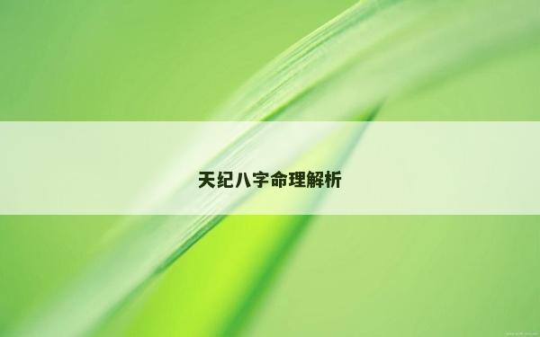 天紀八字命理解析