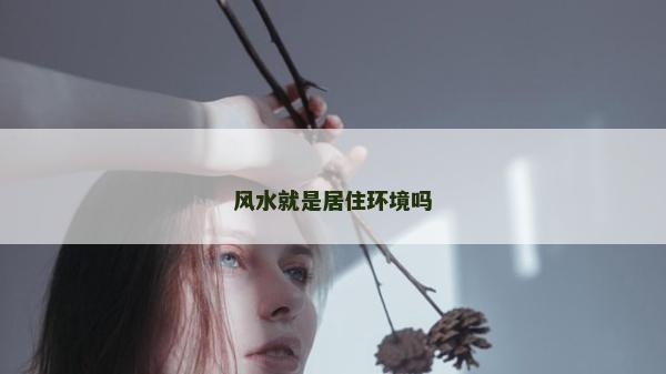 風水就是居住環境嗎