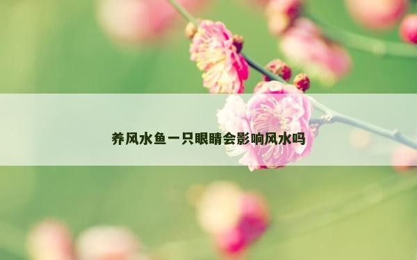 養風水魚一只眼睛會影響風水嗎