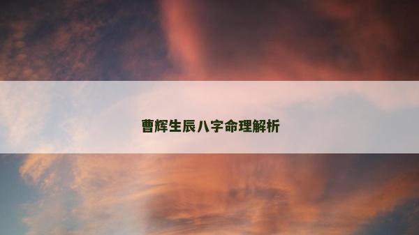 曹輝生辰八字命理解析