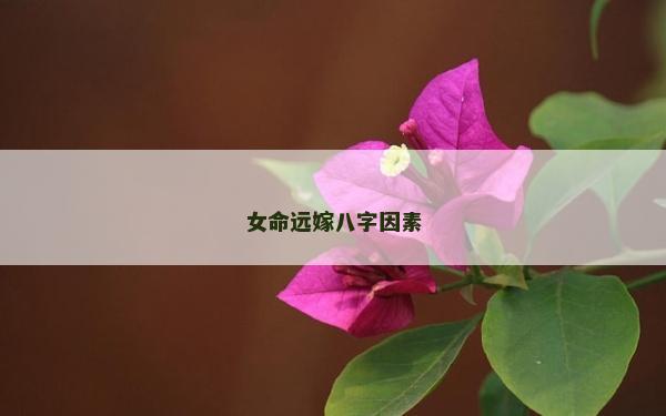 女命遠(yuǎn)嫁八字因素