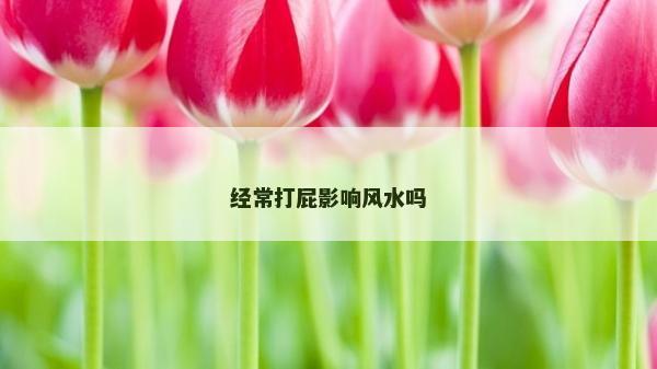 經常打屁影響風水嗎