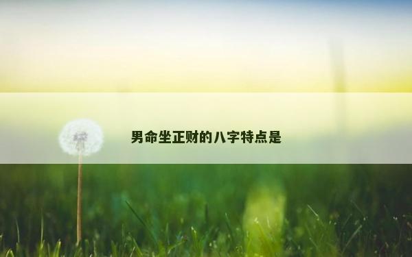 男命坐正財的八字特點是