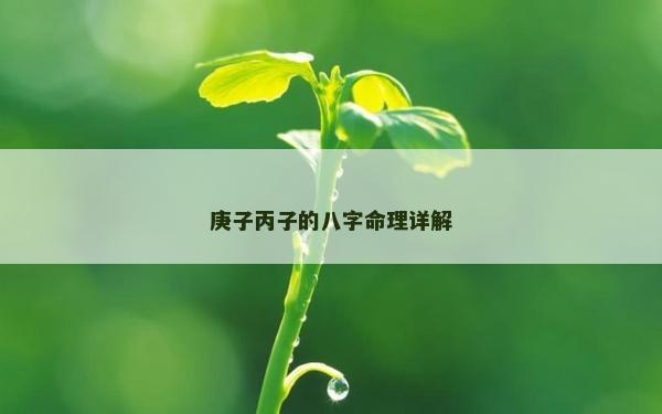 庚子丙子的八字命理詳解