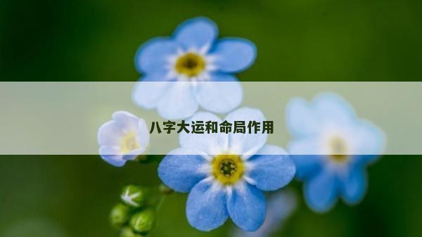 八字大運(yùn)和命局作用