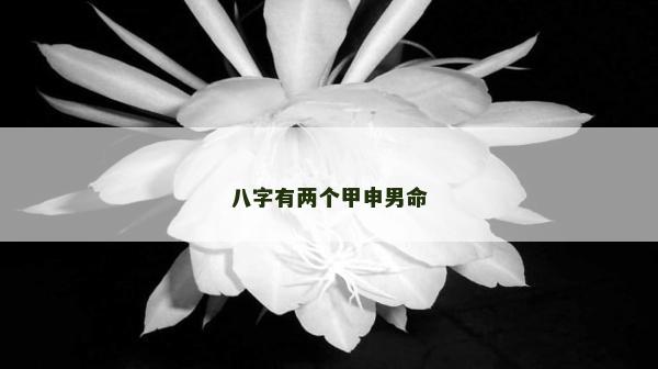 八字有兩個甲申男命