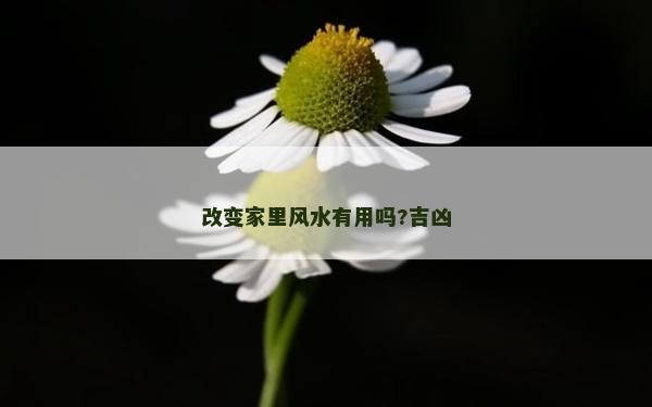 改變家里風水有用嗎?吉兇