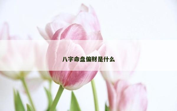 八字命盤偏財(cái)是什么