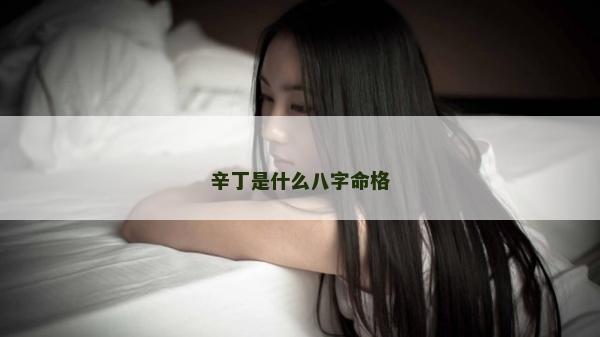 辛丁是什么八字命格 辛丁是什么八字命格