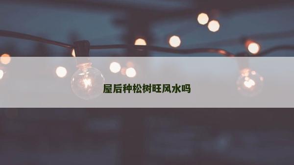 屋后種松樹旺風水嗎