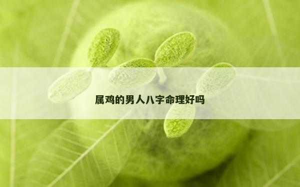 屬雞的男人八字命理好嗎