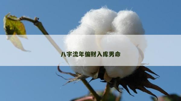 八字流年偏財入庫男命