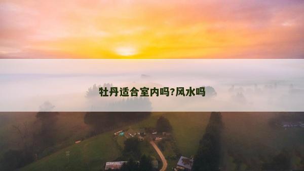 牡丹適合室內嗎?風水嗎