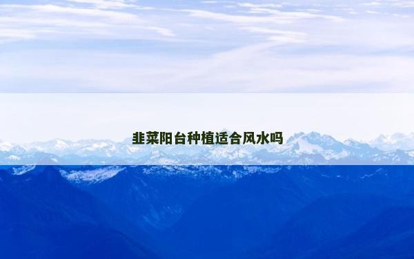 韭菜陽臺種植適合風水嗎