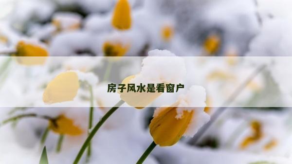 房子風水是看窗戶